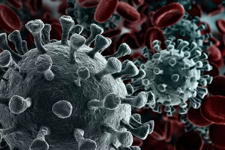 COVID virus