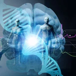 Neuroscience 